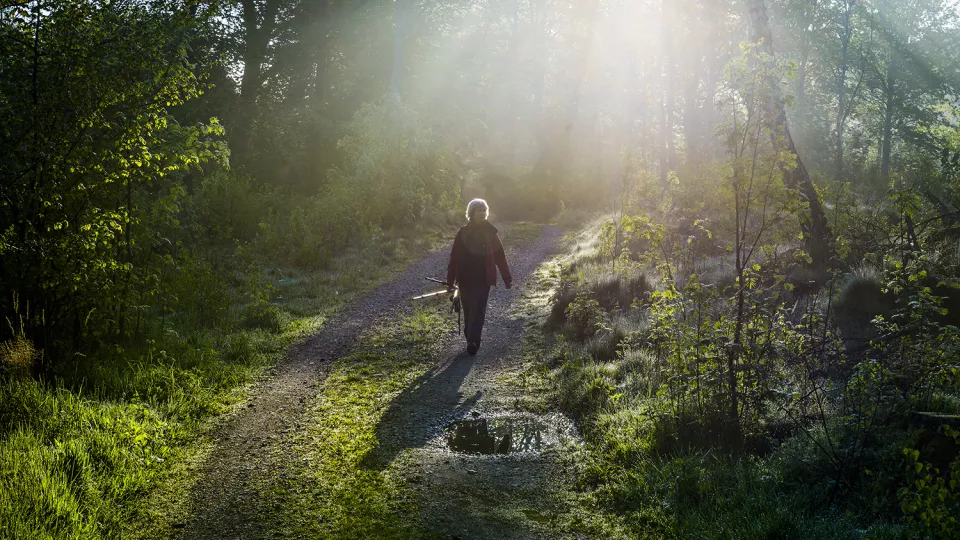 Kvinna går i skog