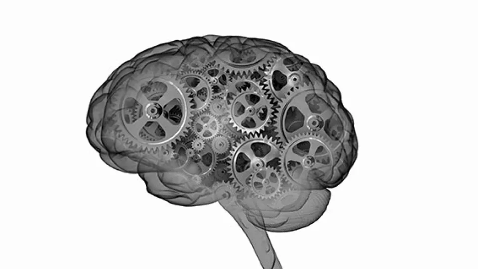illustration av en hjärna