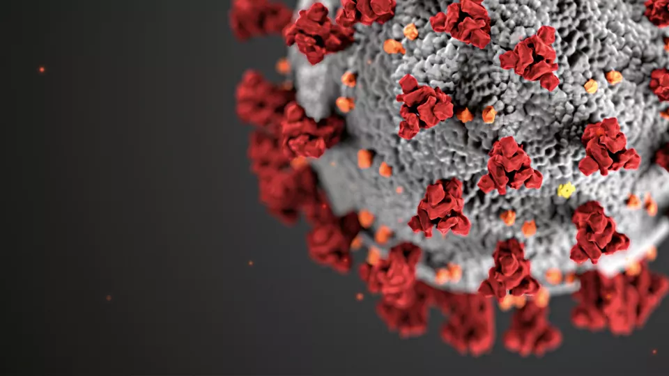 mikroskopbild av virus