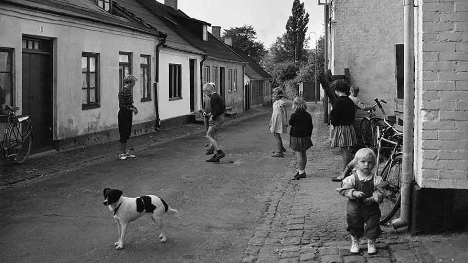 Barn och en hund som leker på en gata i Malmö.