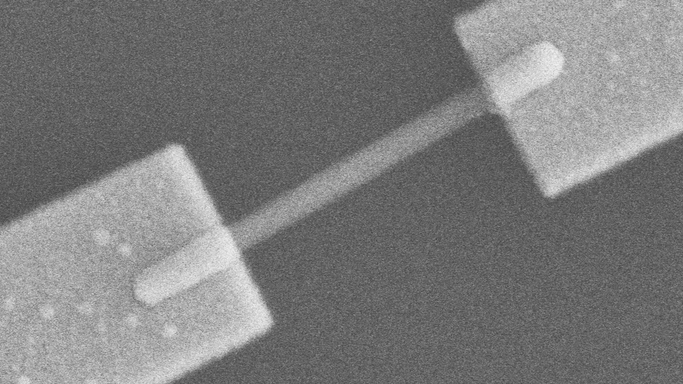 Denna nanotråd är tre mikrometer lång och ansluten till två rektangulära metallkontakter. Foto: Lert Chayanun.