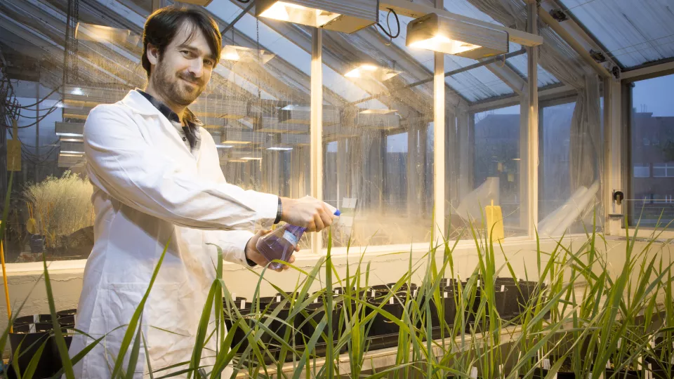 Forskare sprejar växter med en sprejflaska.