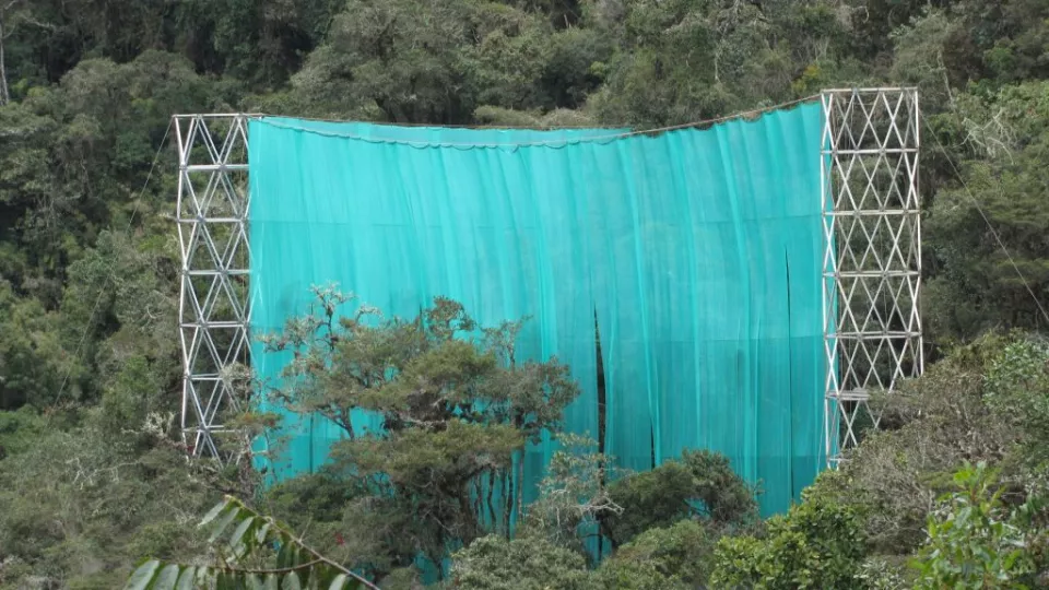 I en vild bergssluttning i Perus djungel har forskaren Dan Metcalfe spänt upp sin enorma plastgardin.