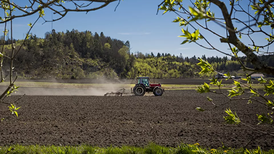 Traktor på jordbruksfält. Foto: Istock.