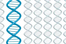 bild på DNA-strängar