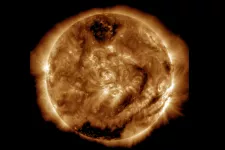 Forskare har utvecklat en ny metod för att förutspå rymdväder och solstormar. FOTO: NASA/SDO/AIA/LMSAL