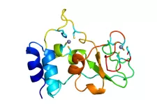Proteinmodell över SARS CoV-2 Nsp10 i obunden form. Nsp10 innehåller två zinkfingrar (zinkjoner visas som grå sfärer)