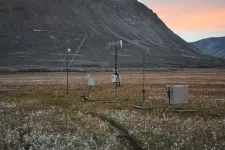 Antenner i arktiskt landskap.